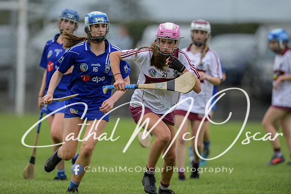 Derry Camogie U15 Feile (363 of 395)
