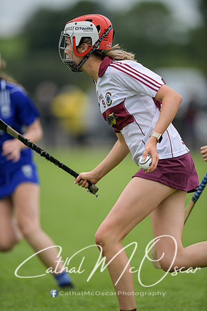 Derry Camogie U15 Feile (369 of 395)