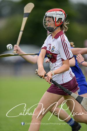 Derry Camogie U15 Feile (370 of 395)