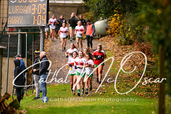 Ballymaguigan v Lurgan-52