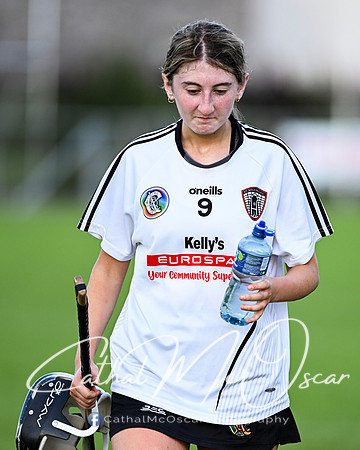 Castledawson v Ballerin-24