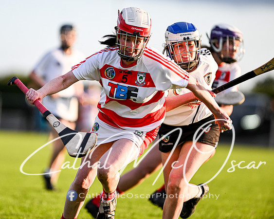 Castledawson v Ballerin-44
