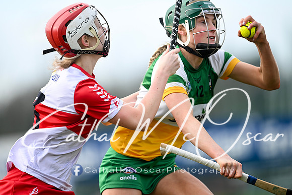 Derry v Offaly (32 of 142)