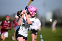 Castledawson v Banagher (15 of 52)