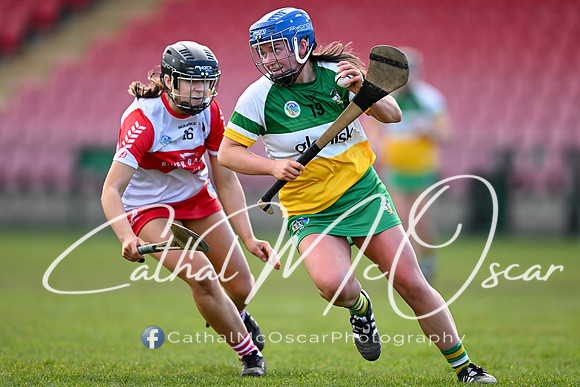 Derry v Offaly (85 of 142)