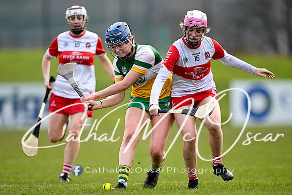 Derry v Offaly (33 of 142)