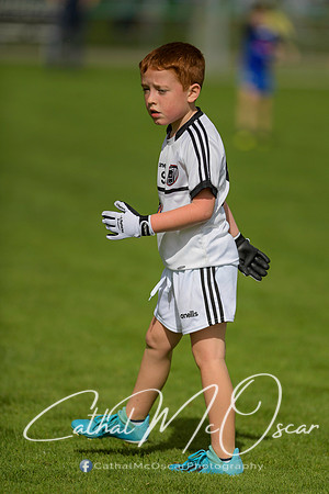 Castledawson U9 Tournament (91 of 250)