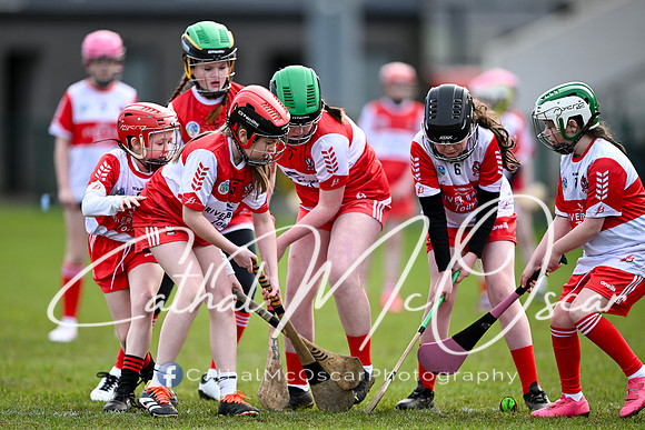 Derry v Offaly (67 of 142)