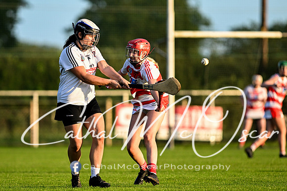 Castledawson v Ballerin-61