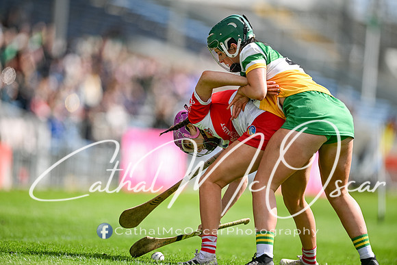 Derry v Offaly (45 of 148)