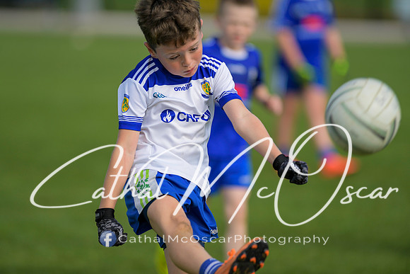 Castledawson U9 Tournament (33 of 250)