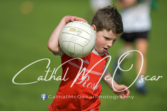 Castledawson U9 Tournament (49 of 250)