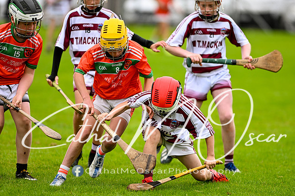 Dungiven U11 Tournament (1 of 226)
