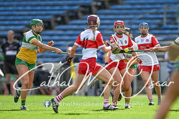 Derry v Offaly (53 of 148)