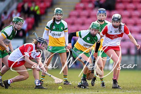 Derry v Offaly (128 of 142)
