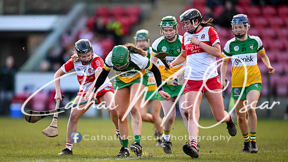 Derry v Offaly (132 of 142)