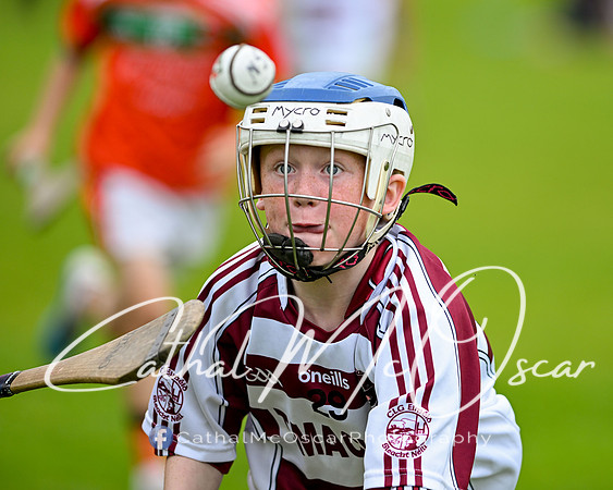Dungiven U11 Tournament (209 of 226)