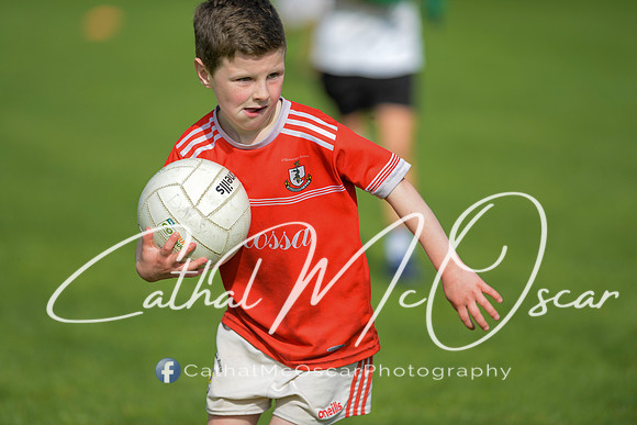 Castledawson U9 Tournament (48 of 250)