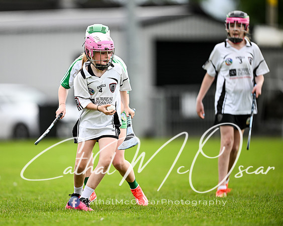 Castledawson v Loup (66 of 101)