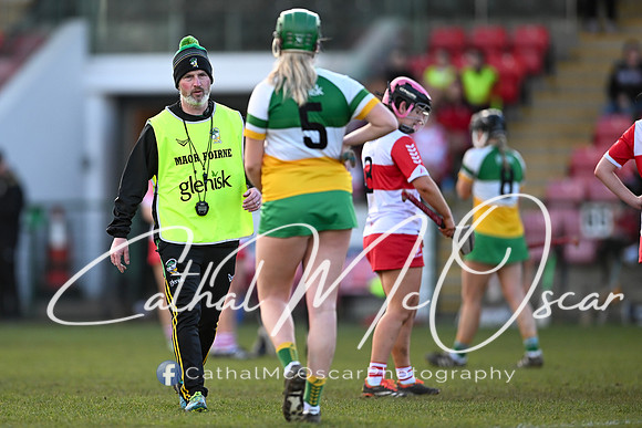 Derry v Offaly (95 of 142)