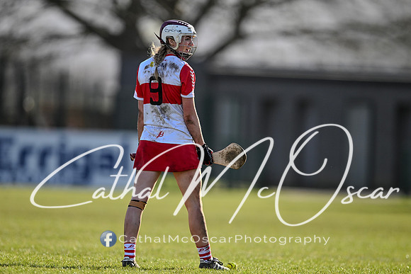 Derry v Offaly (103 of 142)