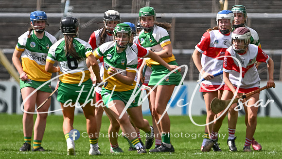 Derry v Offaly (113 of 148)