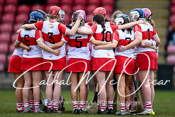 Derry v Offaly (2 of 142)