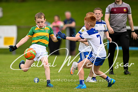 Banagher U9 Tournament (208 of 335)