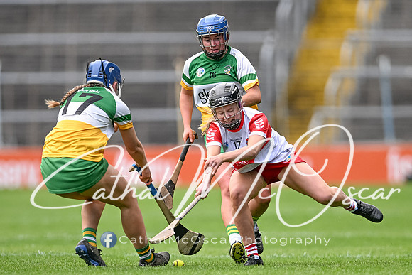 Derry v Offaly (133 of 148)