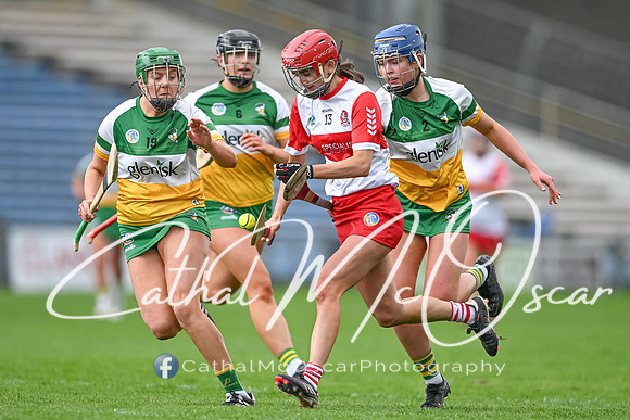 Derry v Offaly (89 of 148)