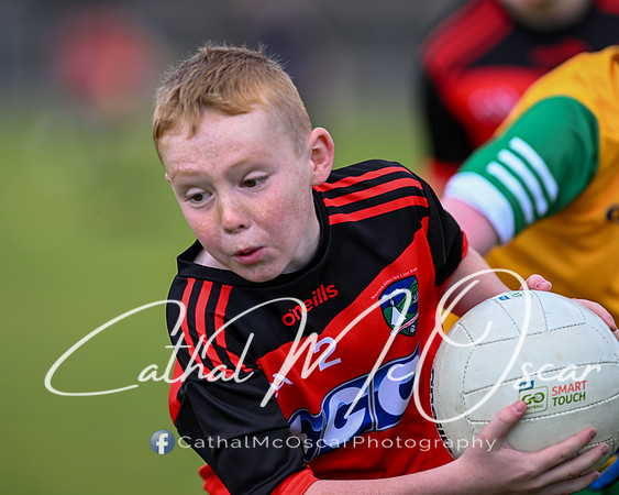 U11 Desertmartin Tournament (80 of 87)