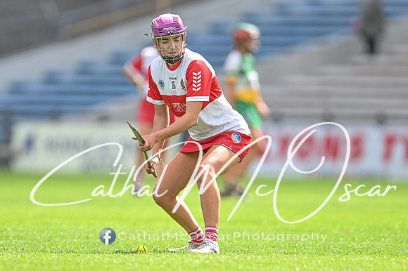 Derry v Offaly (61 of 148)