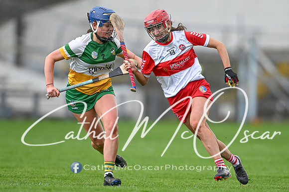 Derry v Offaly (88 of 148)