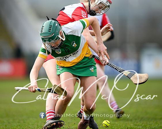 Derry v Offaly (29 of 142)