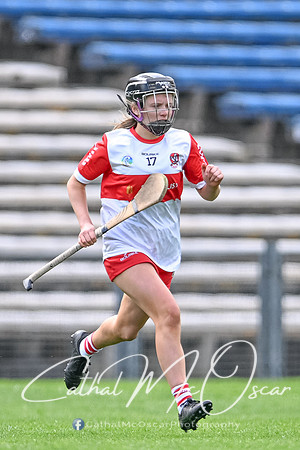 Derry v Offaly (123 of 148)