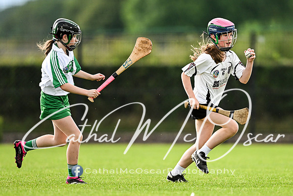 Castledawson v Loup (45 of 101)