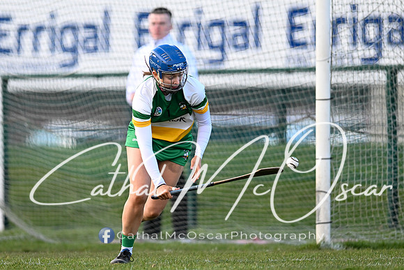 Derry v Offaly (91 of 142)