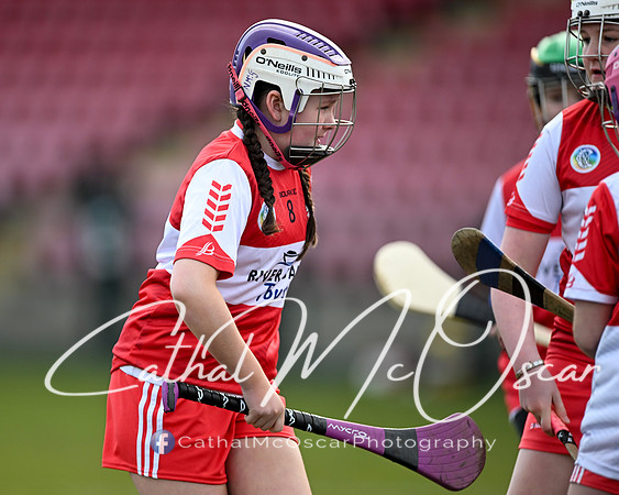 Derry v Offaly (63 of 142)