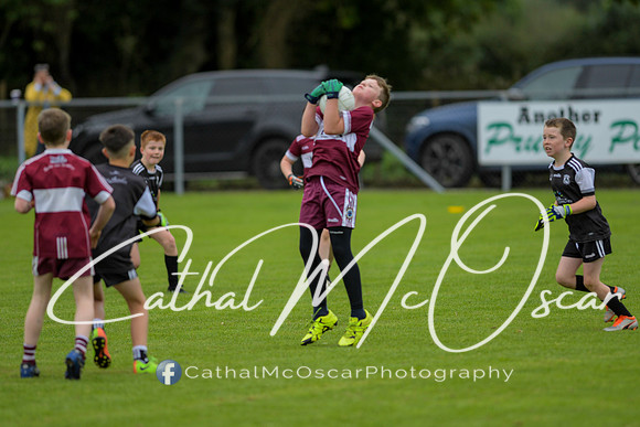 Castledawson U9 Tournament (212 of 250)