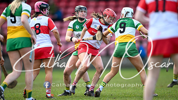Derry v Offaly (81 of 142)