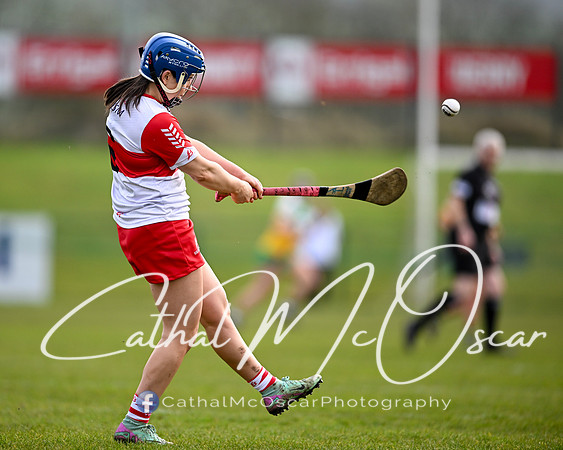 Derry v Offaly (39 of 142)