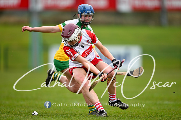 Derry v Offaly (21 of 142)