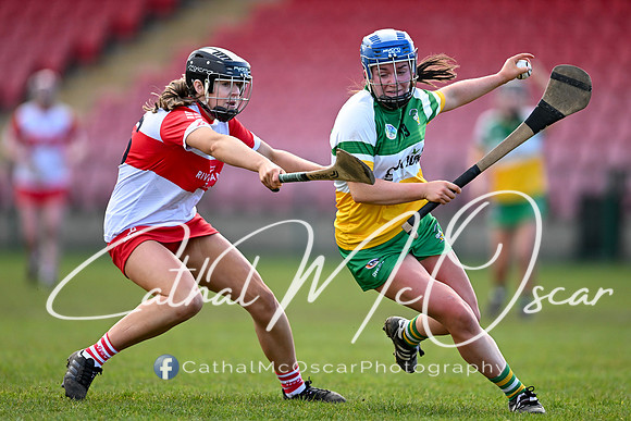 Derry v Offaly (83 of 142)