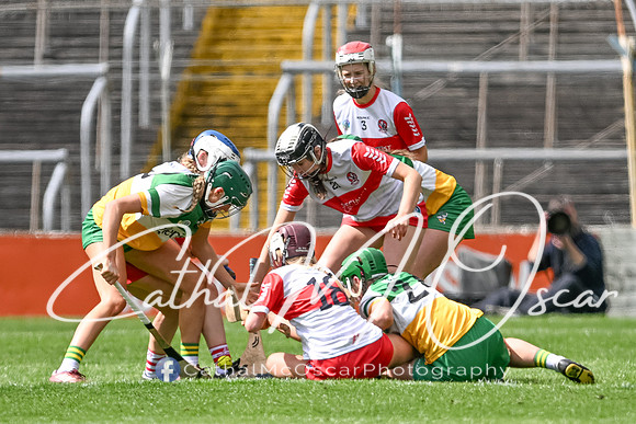 Derry v Offaly (111 of 148)
