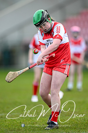 Derry v Offaly (69 of 142)