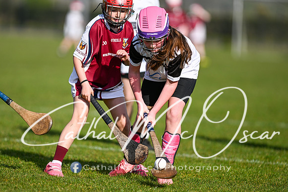 Castledawson v Banagher (6 of 52)