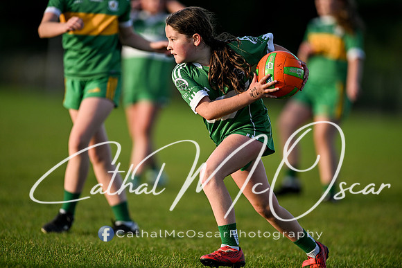 Ballymaguigan v Loup-34