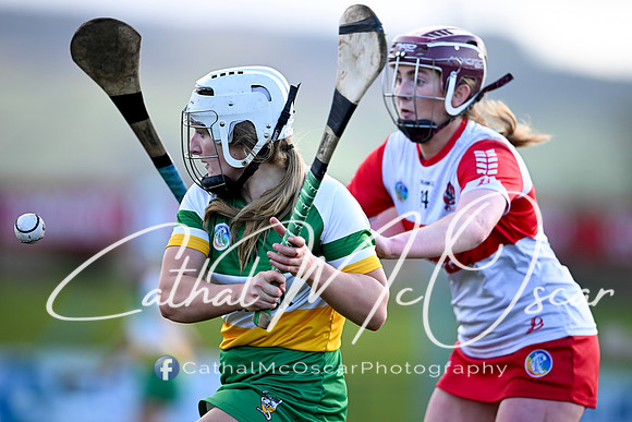 Derry v Offaly (92 of 142)