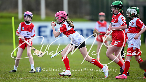 Derry v Offaly (71 of 142)