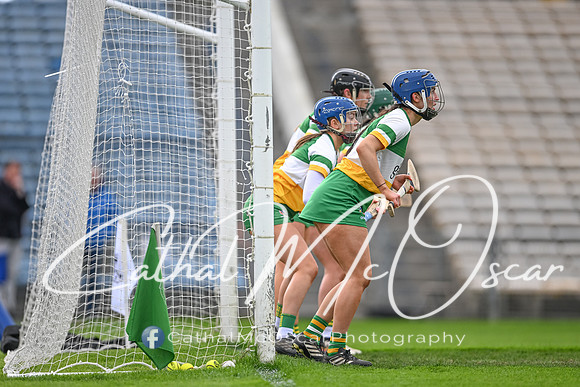 Derry v Offaly (84 of 148)